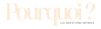 Pourquoi ? Les questions infinies